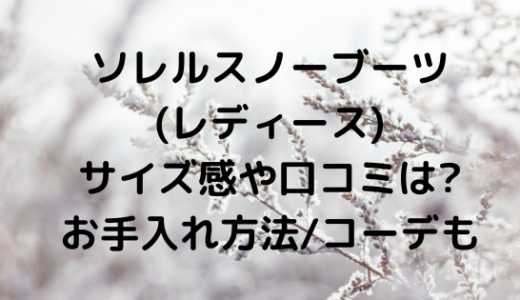 ソレルスノーブーツ レディース のサイズ感や口コミは お手入れ方法 コーデも Nezutan日記