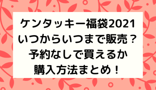 ソレルスノーブーツ レディース のサイズ感や口コミは お手入れ方法 コーデも Nezutan日記